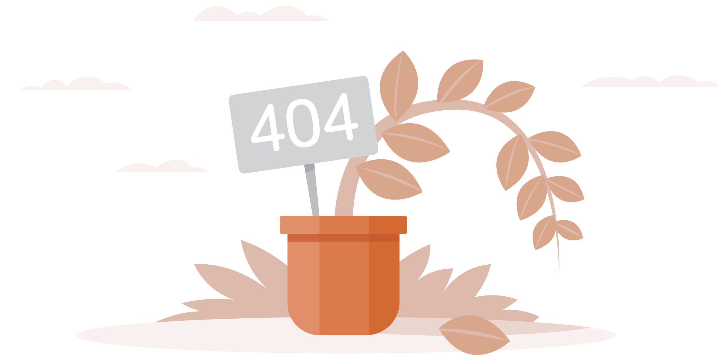 404 Error